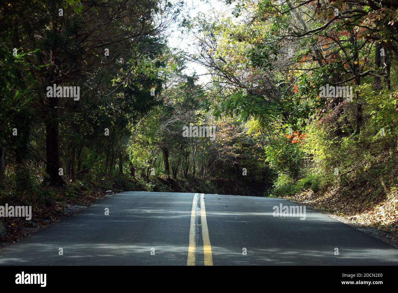 Geteilte Landstraße in Virginia, USA Stockfoto