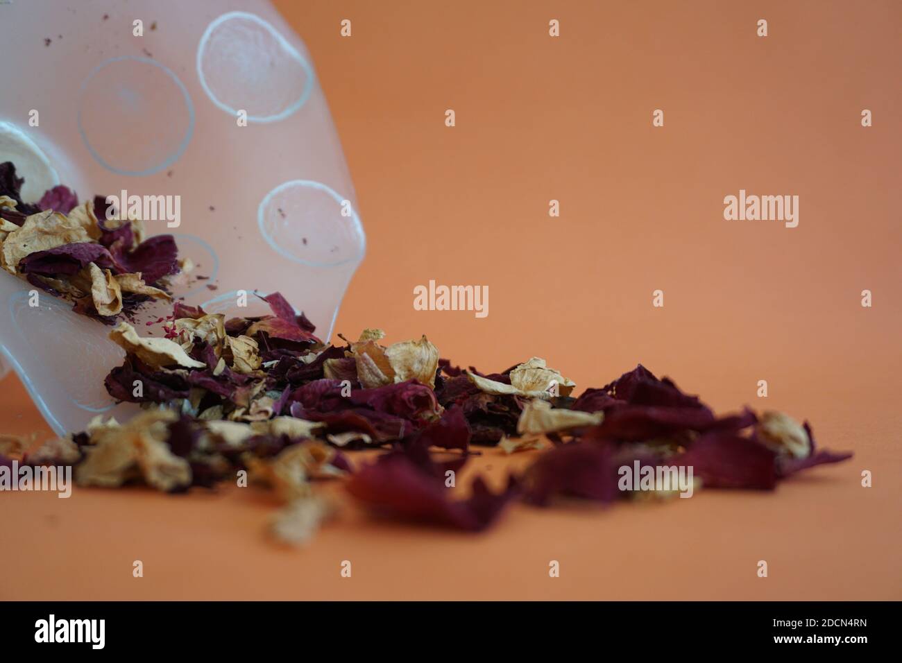 Getrocknete Rosenblätter fallen aus der Vase Stockfoto