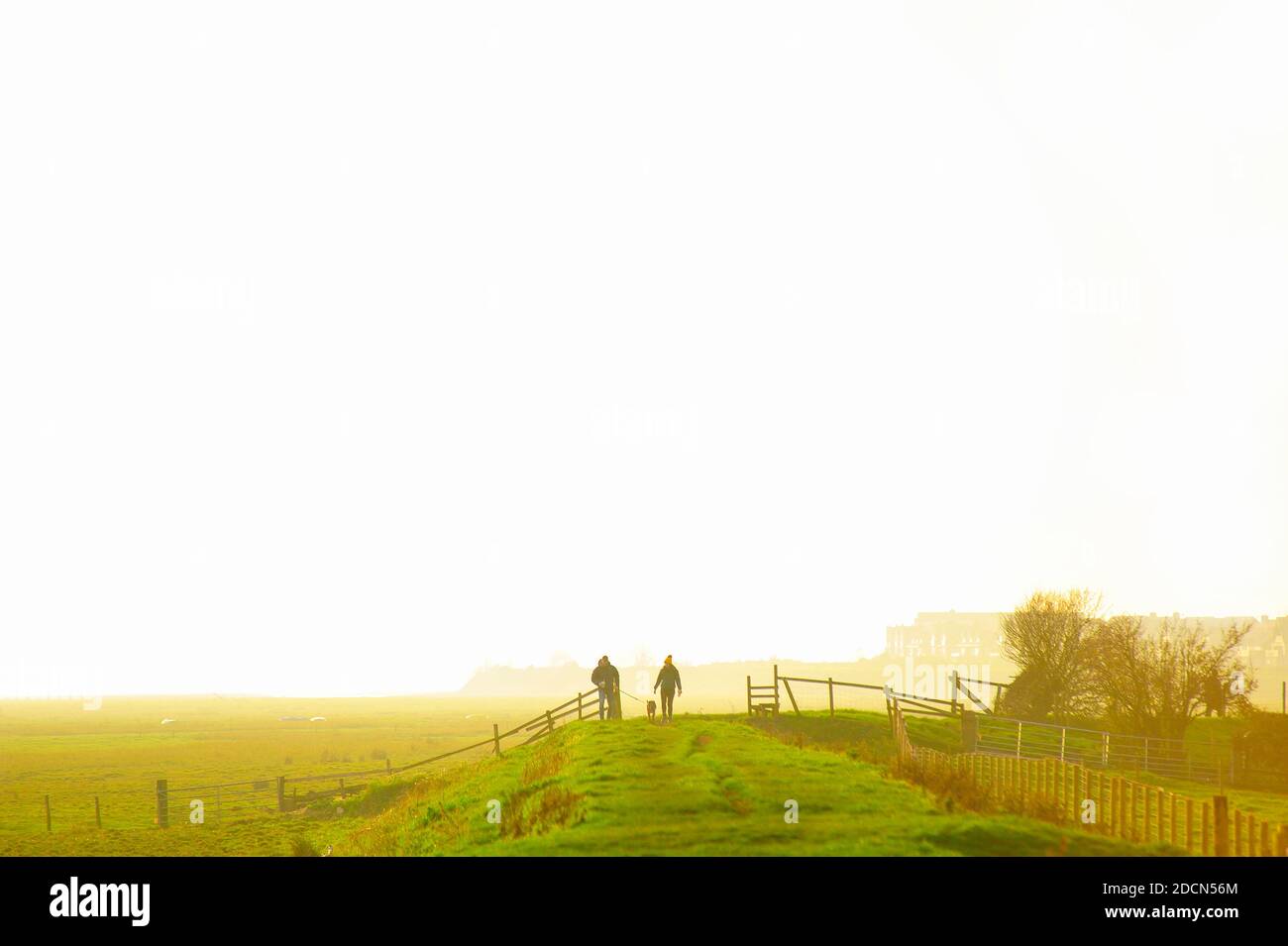 Paar Wanderhund entlang angehoben Deich auf Warton Bank Salz marsh an einem trüben sonnigen Tag Stockfoto