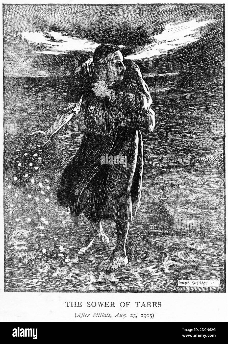 Stich des Sämanns des Unkrauts, der Marokko-Kredit, Aussaat von Unkrautkraut im europäischen Frieden im Jahr 1905. Aus dem Magazin Punch. Stockfoto