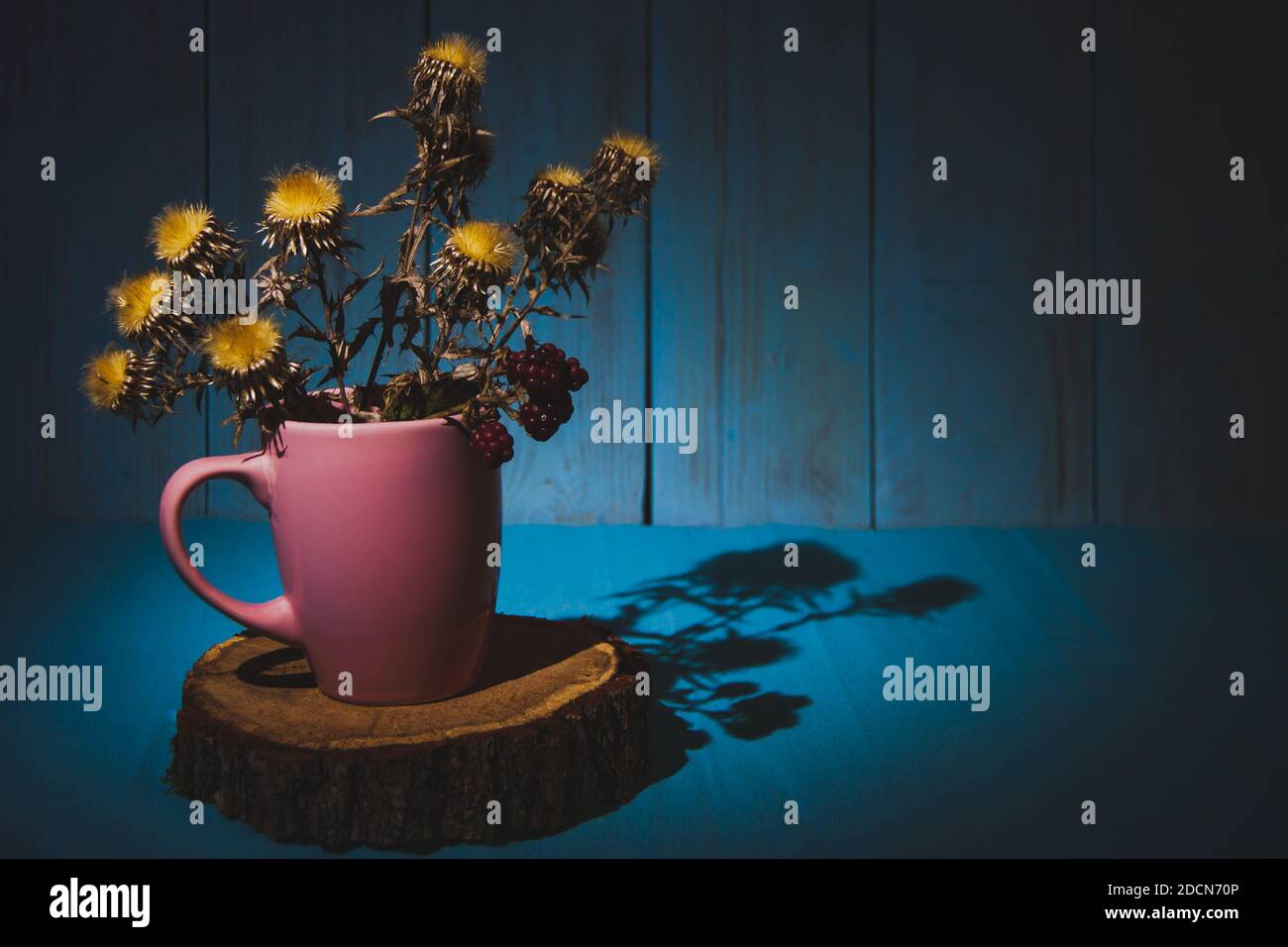 Eine Herbstkomposition mit getrockneten Dornen in rosa tasse auf einem Holzstumpf mit Herbstblättern Stockfoto