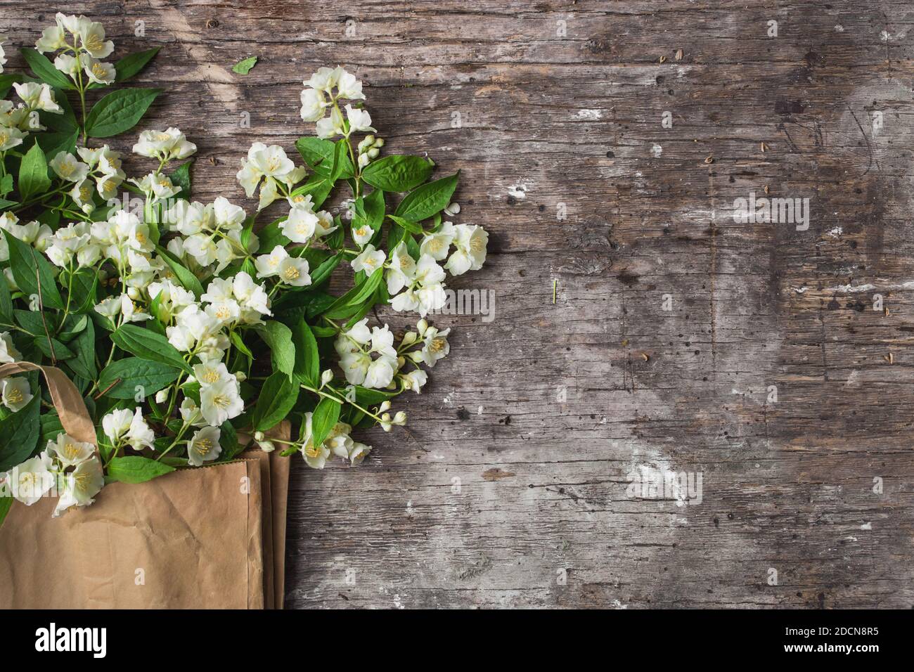 Blumenzusammensetzung für Valentinstag, Mutter oder Frauentag. Jasmin Frühlingsblumen auf altem hölzernen Hintergrund Stockfoto