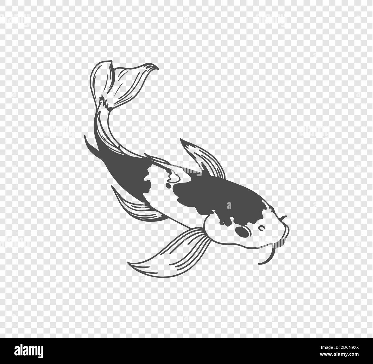 Karpfenskizze Auf Transparentem Hintergrund Freihand Japanisches Karpfen Tattoo Stock Vektorgrafik Alamy Karpfenskizze Auf Transparentem Hintergrund Freihand Japanisches Karpfen Tattoo Stock Vektorgrafik Alamy
