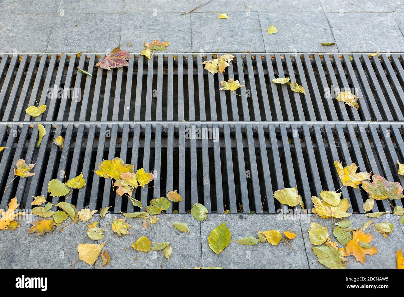 Gitterrost des Drainage-Sturmsystems auf der Fußgängerzone Gehweg aus  grauem Stein Granitfliesen und ein Eisen Sturmabdeckung mit Herbstfärbung  gelb lassen Stockfotografie - Alamy