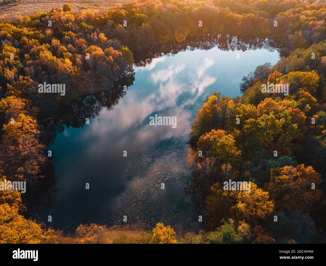 Luftaufnahme des Sees im schönen Herbstwald. Schöne Landschaft mit Bäumen mit grünen, roten und orangefarbenen Blättern. Draufsicht von fliegender Drohne Stockfoto
