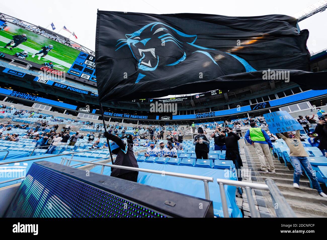 Charlotte, North Carolina, USA. November 2020. Sir Purr geht die Fahne, als die Carolina Panthers das Feld für das NFL-Matchup im Bank of America Stadium in Charlotte, NC, nehmen. (Scott Kinser/Cal Sport Media). Kredit: csm/Alamy Live Nachrichten Stockfoto