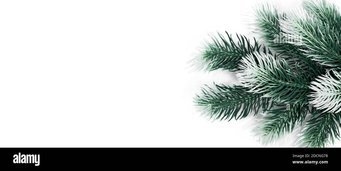 weihnachten Decotation Tannenzweige mit Schnee auf weißem Hintergrund Banner Stockfoto