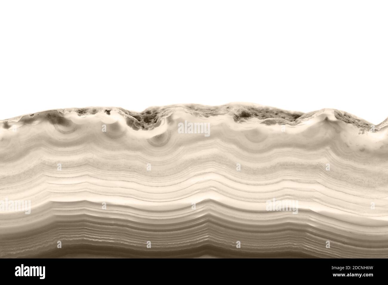 Abstrakter Hintergrund, Sepia getönte Achat-Scheibe mineralischer Querschnitt, Farbe des Jahres 2021: Set Sail Champagne Stockfoto