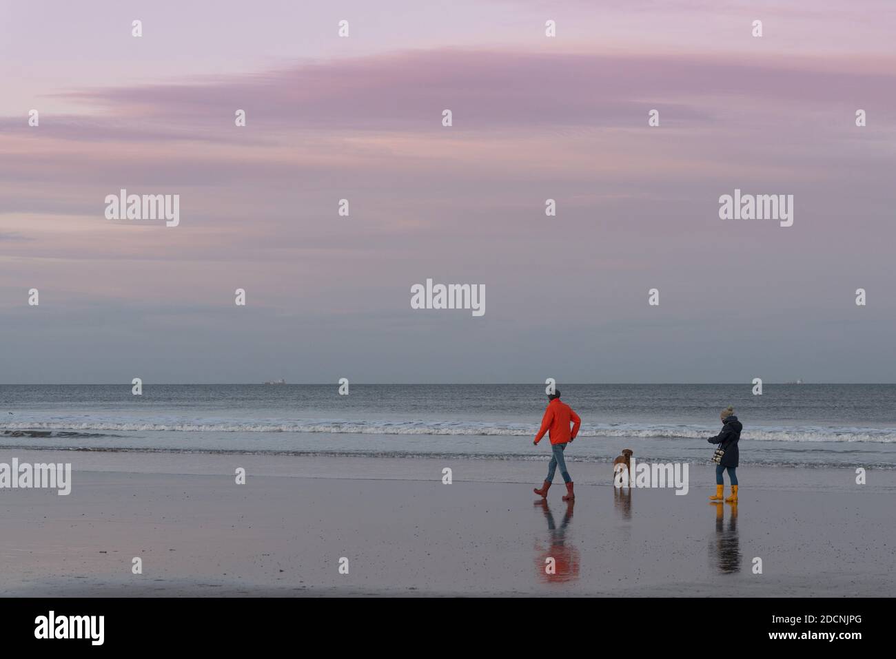 Ein Paar läuft mit seinem Hund am Strand in der VEREINIGTES KÖNIGREICH Stockfoto