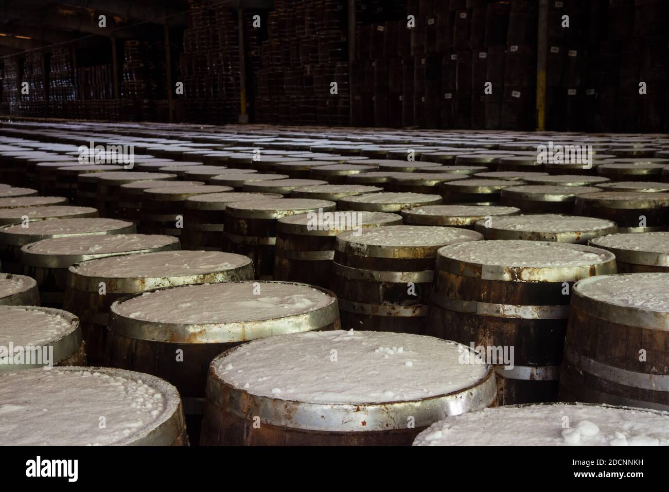 Tabasco-Sauce Alterung in Holzfässern mit Salz bedeckt, Avery Island, Louisiana, USA Stockfoto