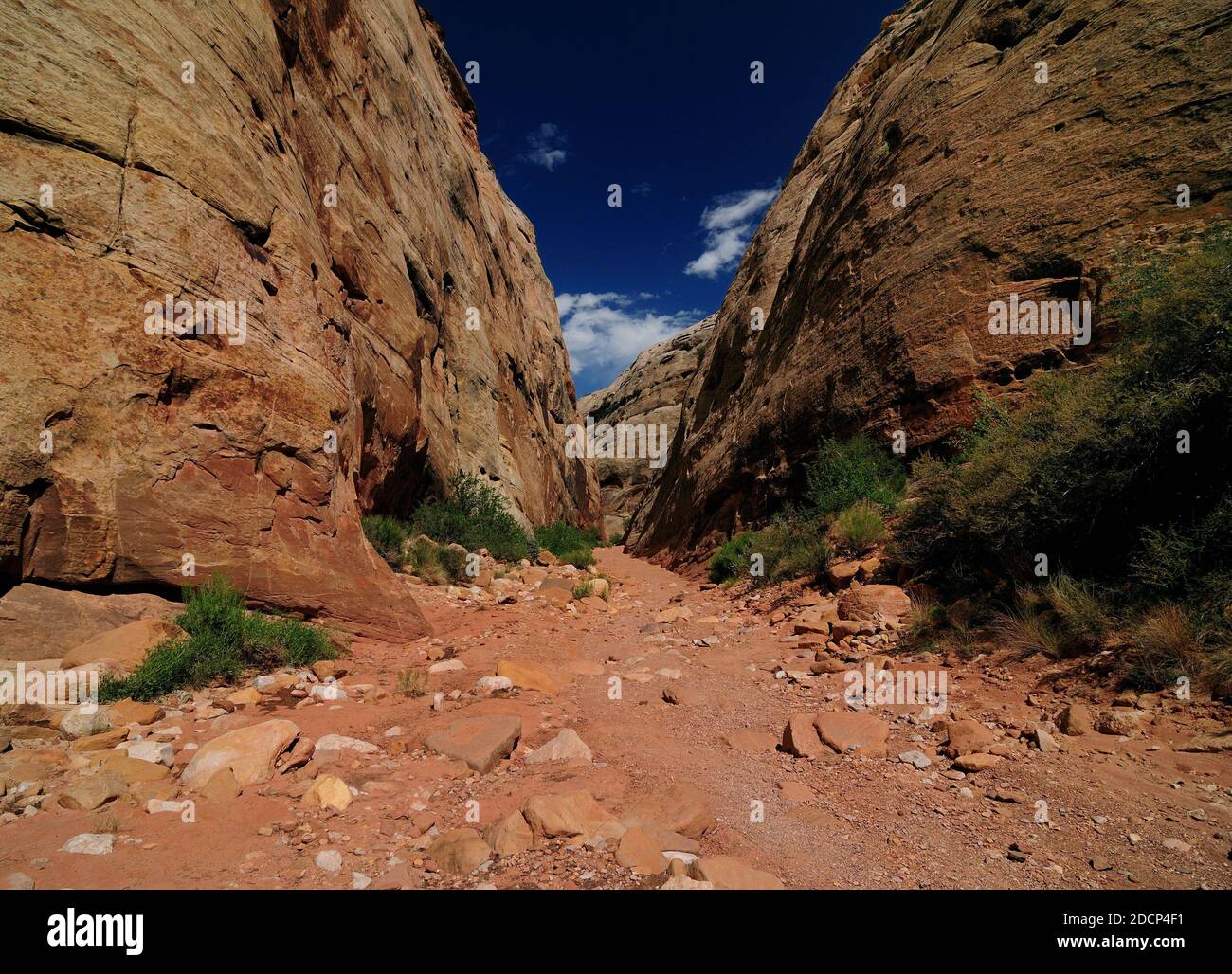 Blick In Die Enge Capitol Gorge Im Capitol Reef Nationalpark an EINEM sonnigen Sommertag mit EINEM klaren Blauer Himmel und EIN paar Wolken Stockfoto