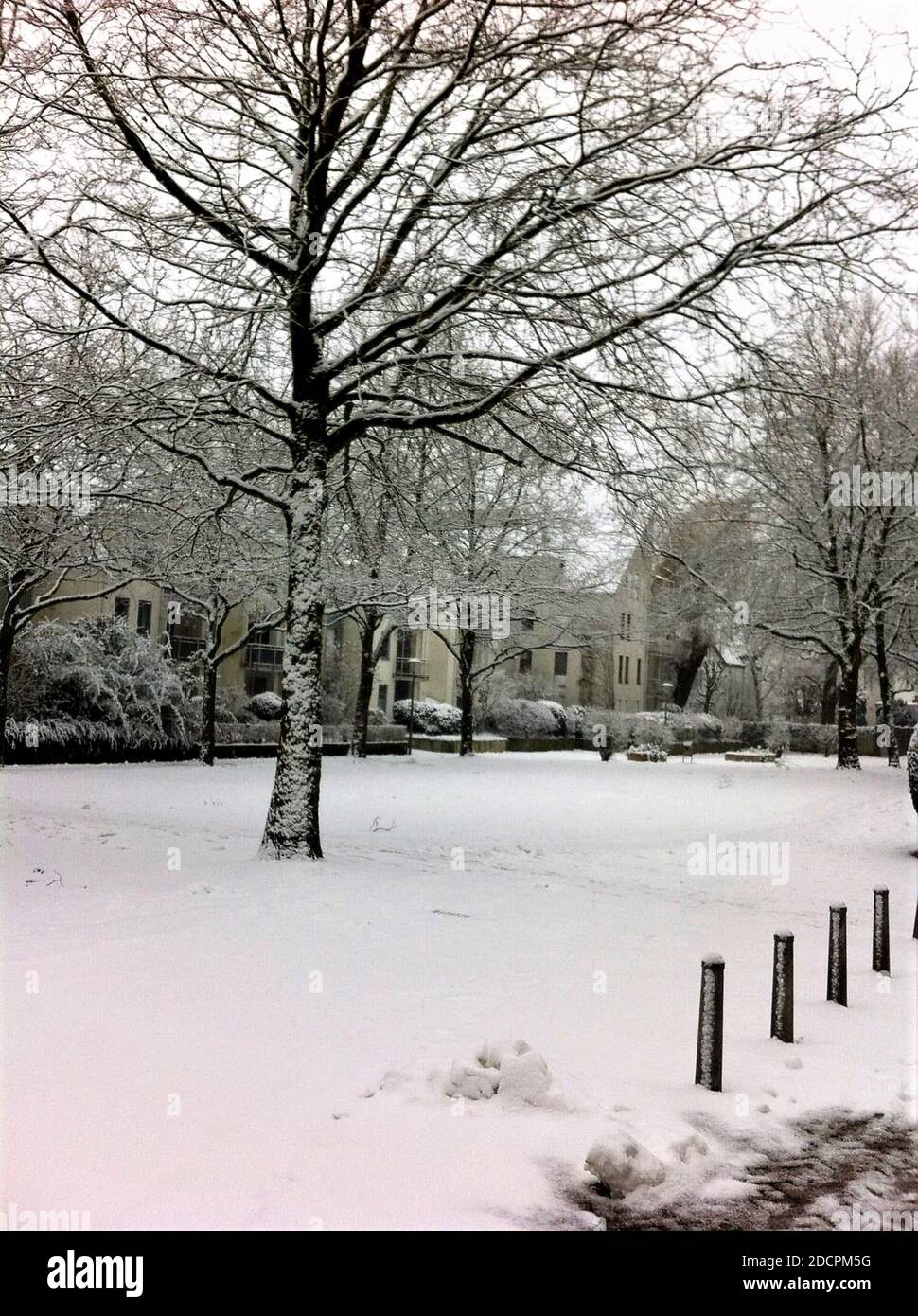 Frischer Schnee im Hinterhof im Winter. Stockfoto