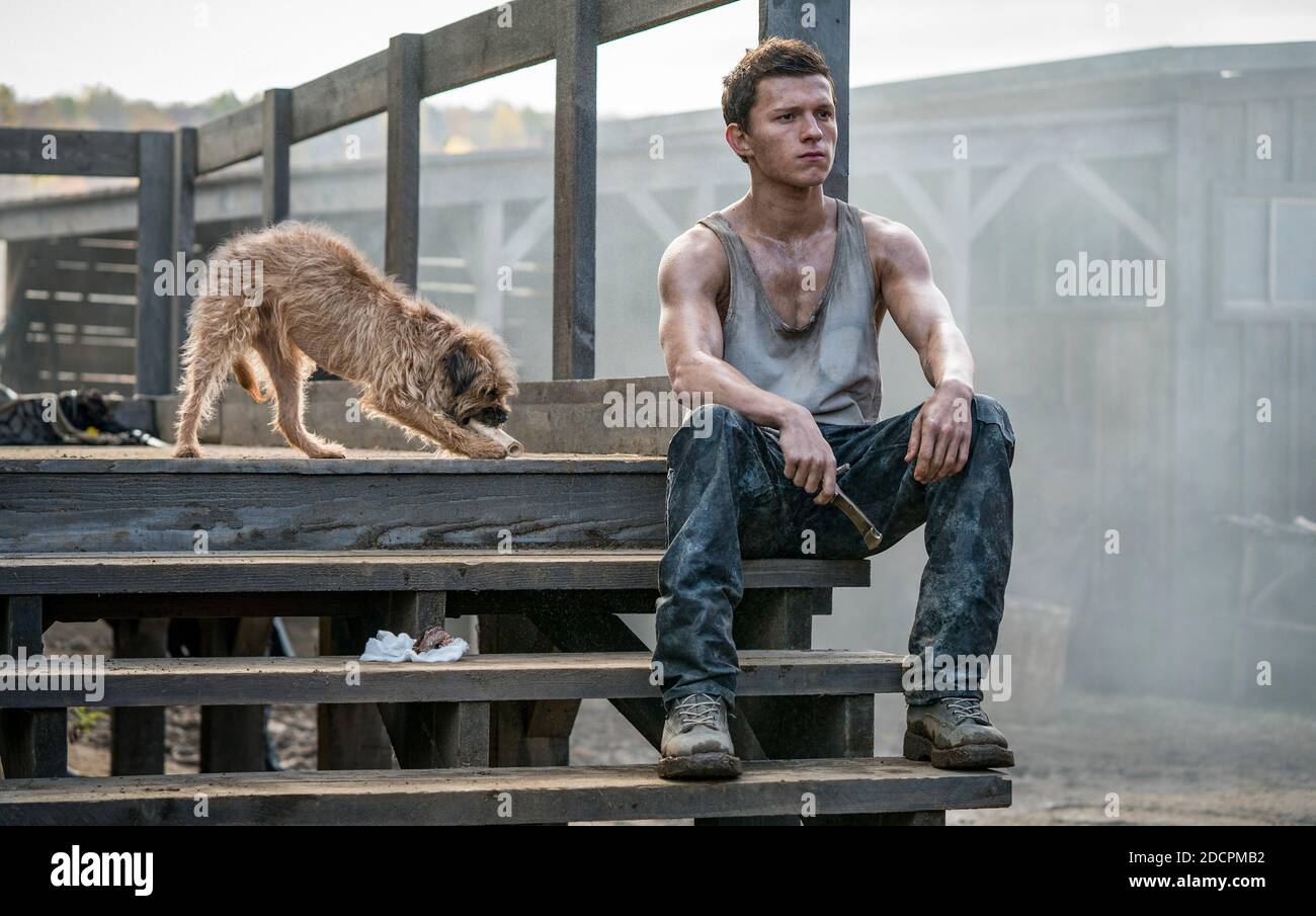 VERÖFFENTLICHUNG: 22. Januar 2021 TITEL: Chaos Walking STUDIO: Lionsgate REGIE: Doug Liman PLOT: Eine dystopische Welt, in der es keine Frauen gibt und alle Lebewesen die Gedanken der anderen in einem Strom von Bildern, Worten und Geräuschen hören können, die als Rauschen bezeichnet werden. HAUPTROLLE: TOM HOLLAND als Todd Hewitt. (Bild: © Lionsgate/Entertainment Pictures) Stockfoto