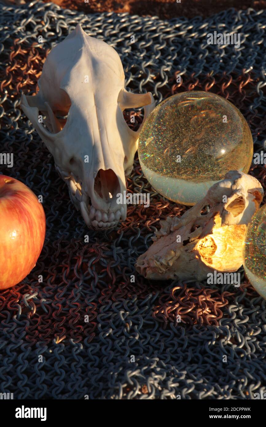 Schädel, Äpfel und Kugeln 7 Stockfoto