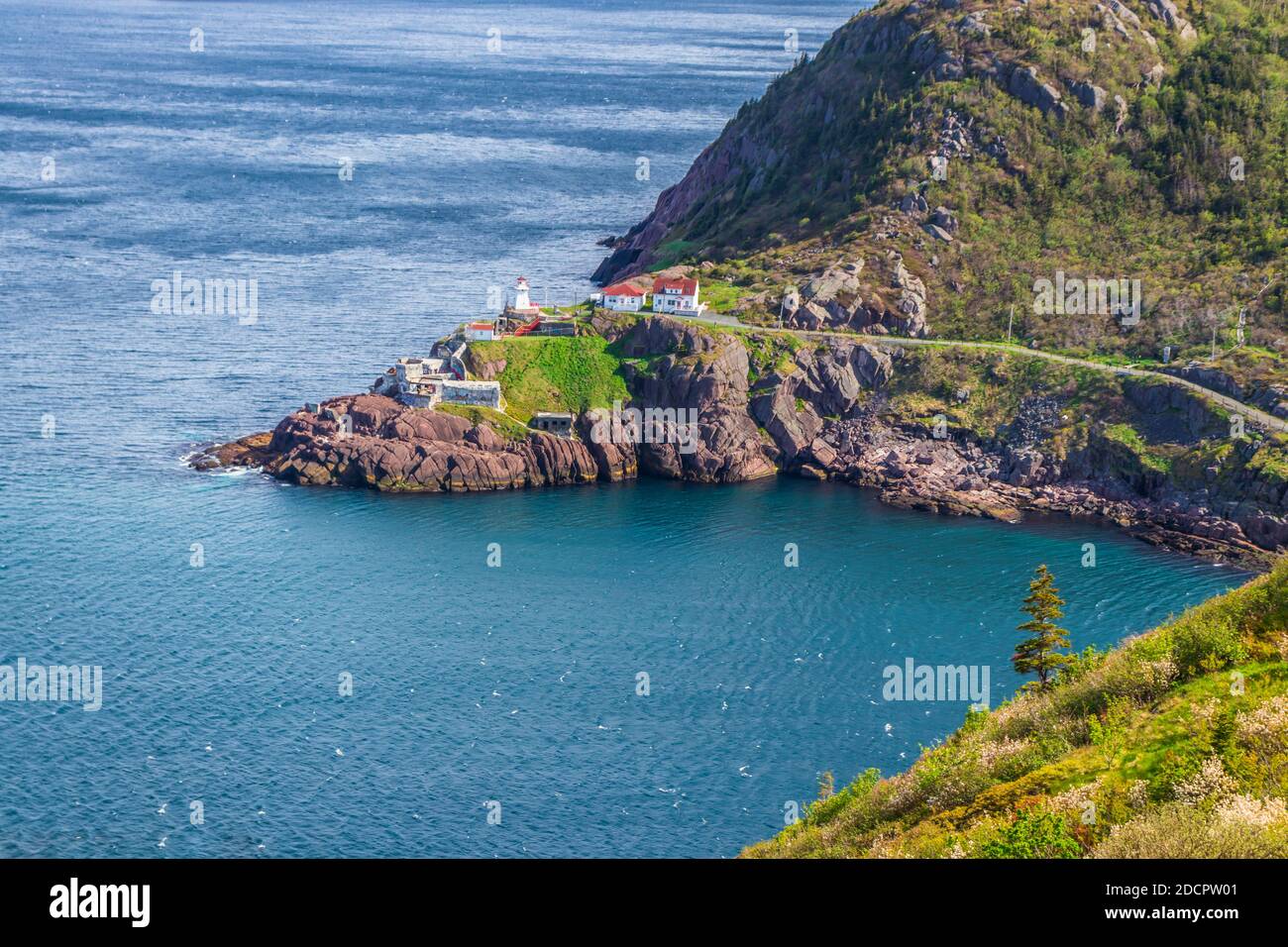 Leuchtturm, der die Schiffe in die Bucht führt - St. Johns, Neufundland, Kanada. Szenen aus St. johns, Neufundland Stockfoto