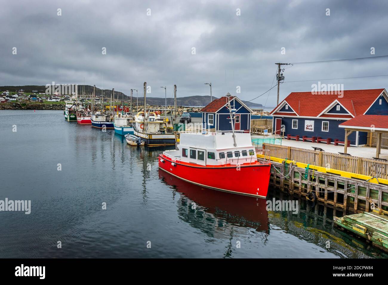 Ausflugsboote dockten am Hafen - Bonavista, Neufundland, Kanada Stockfoto