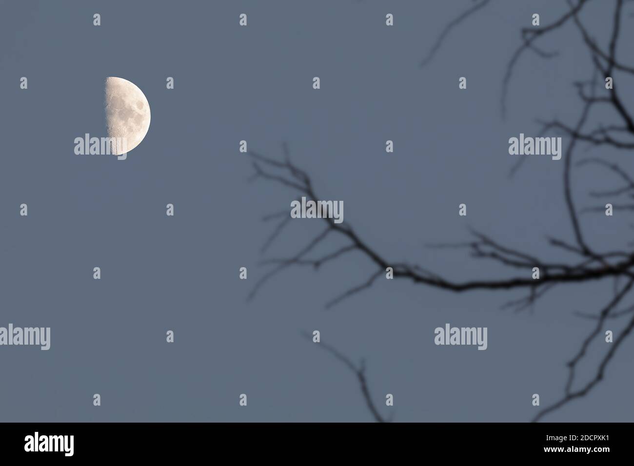 Wachender Halbmond mit 58 Prozent Sichtweite bei Dämmerung Stockfoto