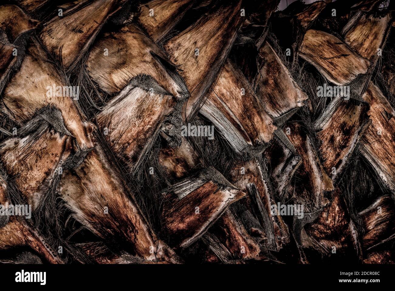 Stücke von Texturen, Mustern, Designs Stockfoto