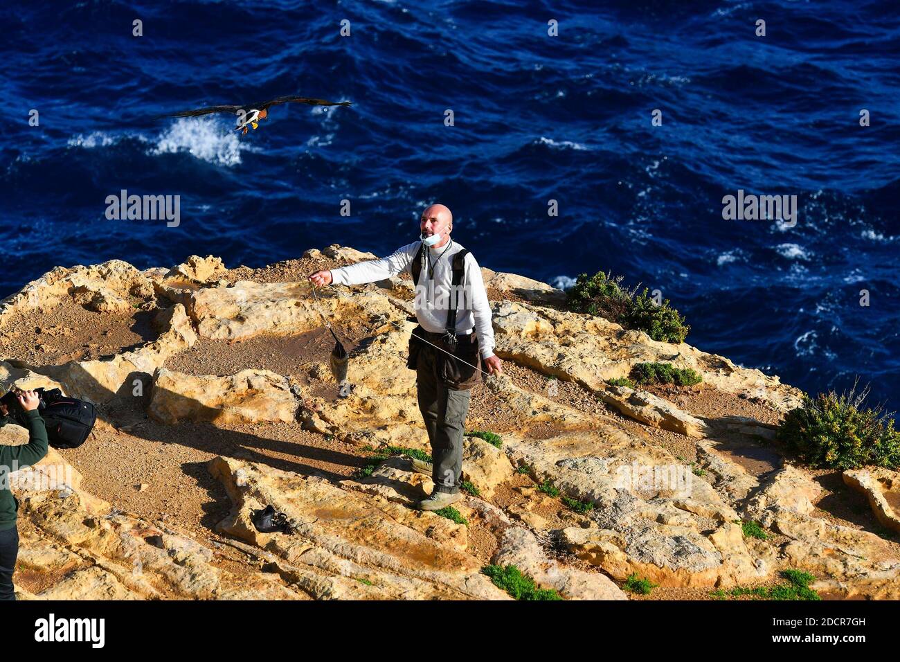 Zurrieq, Malta. November 2020. Ein Falkner und sein harris-Falke nehmen an der Falknerdemonstration in Wied iz-Zurrieq, Malta, 22. November 2020 Teil. Die Veranstaltung findet anlässlich des Weltfalknertags statt, der von der Internationalen Vereinigung für Falknerei und die Erhaltung von Raubvögeln gegründet wurde. Quelle: Jonathan Borg/Xinhua/Alamy Live News Stockfoto