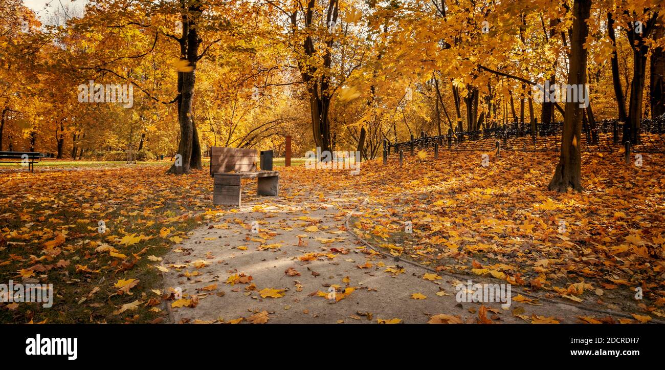 Panorama des herbstlichen Stadtparks voller orangefarbener Blätter Stockfoto