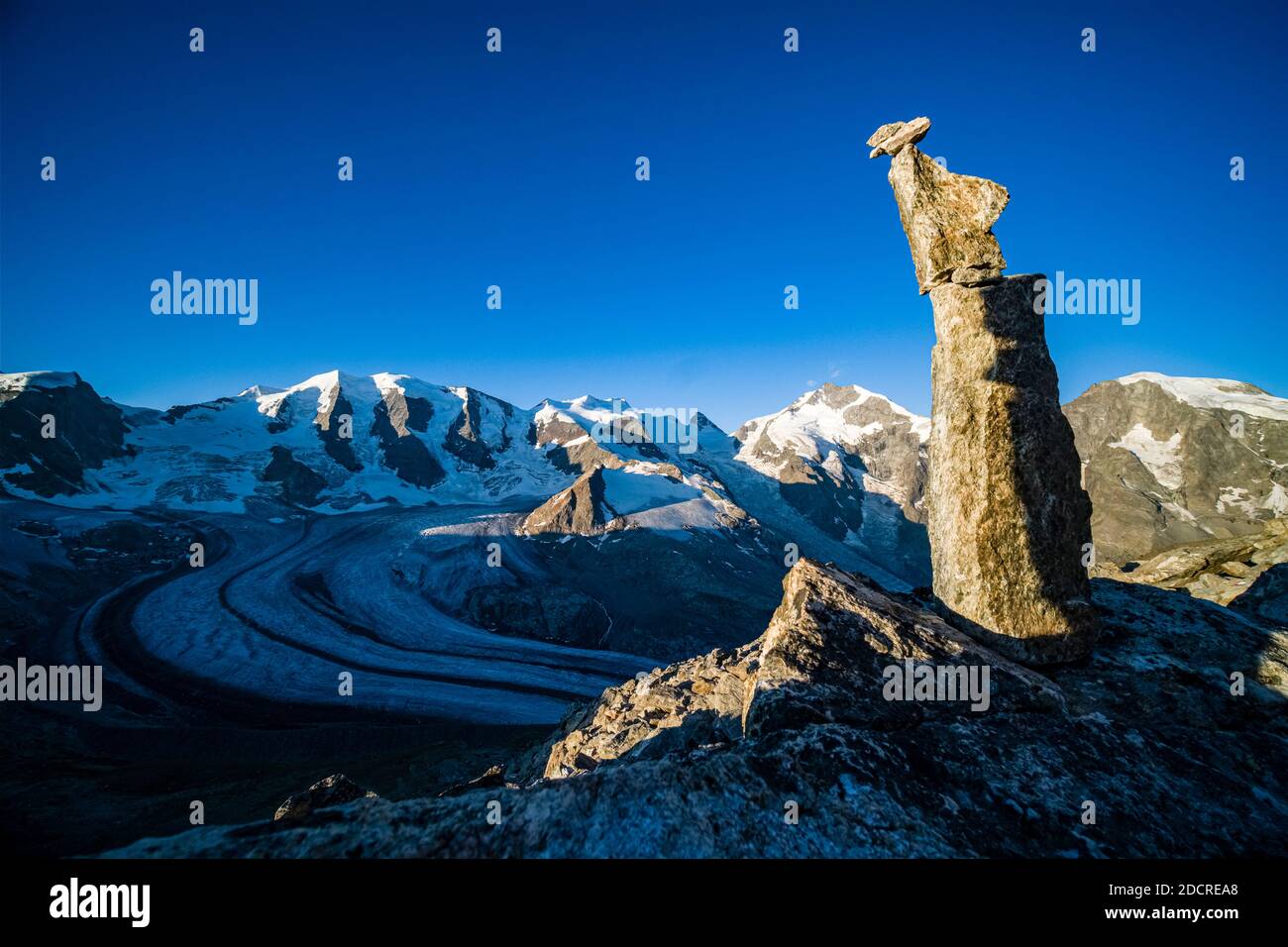 Ein Felsenkirn auf einem Felsen, die Gipfel des Piz Palü, Bella Vista und Piz Bernina und der obere Teil des Pers Glacier, von Munt Pers bei Diavolezza A gesehen Stockfoto
