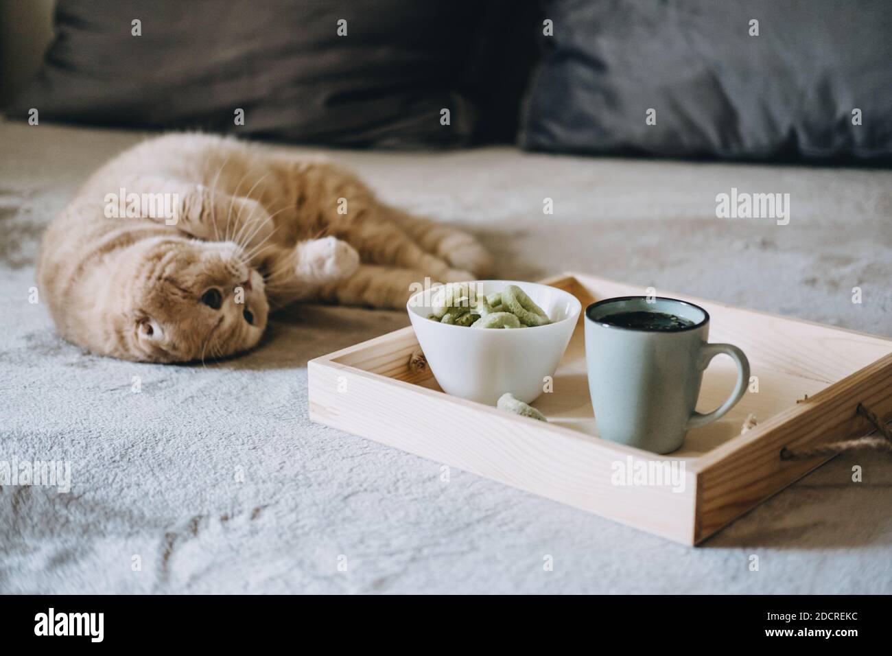 CBD-Esswaren, CBD-infundiert Snacks, Hanf-Waffeln mit Cannabis. Testy CBD Snacks in Schüssel und eine Tasse Kräutertee auf Holztablett auf dem Sofa zu Hause Stockfoto