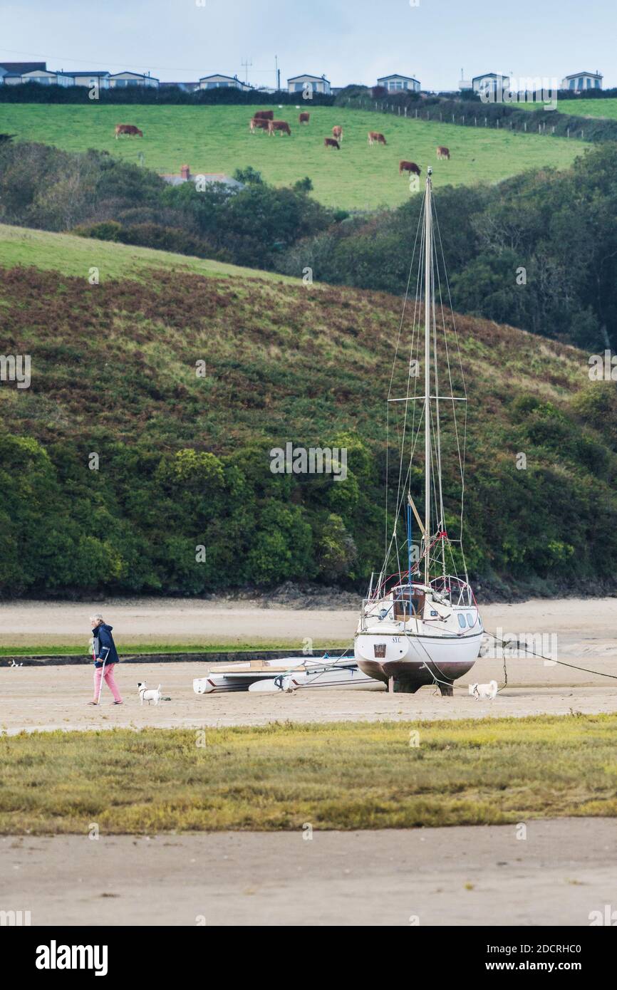 Ein Hundespaziergänger, der bei Ebbe in Newquay in Cornwall an einem festgeschlemmten Segelboot auf einer Sandbank am Gannel River vorbeiläuft. Stockfoto