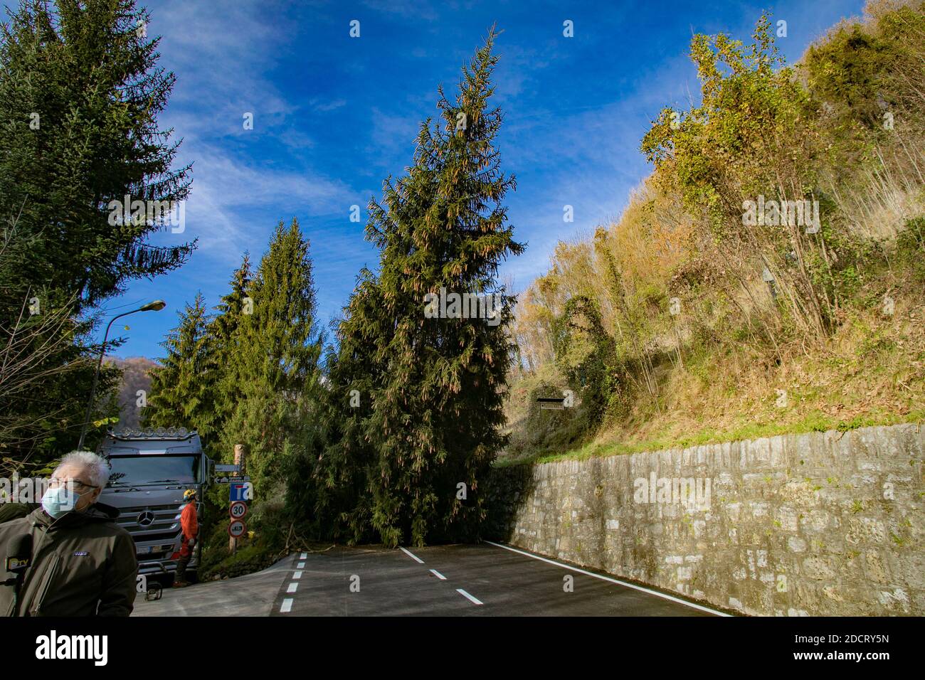 Val Seriana, Italien. November 2020. Eine 15 Meter lange "residente" Tanne in Gorno im Val Seriana wird Bergamo zu Weihnachten gespendet. Getauft "Natalino" (von den Kindern der Grundschule von Gorno,) sollte der Baum aus Sicherheitsgründen abgehauen werden; stattdessen wird er geschnitten und in die Stadt transportiert, um das Symbol des Festes zu werden. Eine symbolische Geste und ein Geschenk, das die Nähe zwischen der am meisten gequälten Hauptstadt und dem Märtyrer des Tals der Epidemie im März unterstreicht; eine Botschaft der Hoffnung und der Kraft, um aus einer Situation herauszukommen, die dieses Gebiet tief geprägt hat. Kredit: Ind Stockfoto