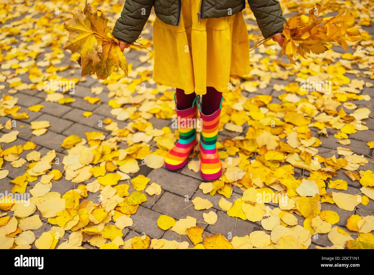 Die Beine des Kindes in den Stiefeln auf dem Hintergrund des goldenen Ahorns Blätter Stockfoto