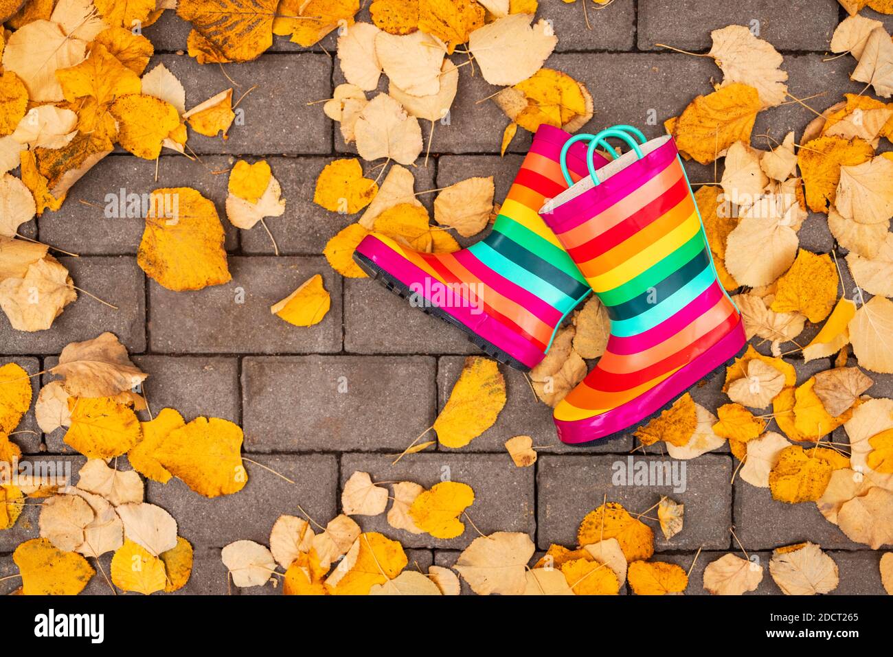Herbst gelbe Blätter fallen auf den Boden und bunte Kind Gummistiefel bei nassem Wetter Stockfoto