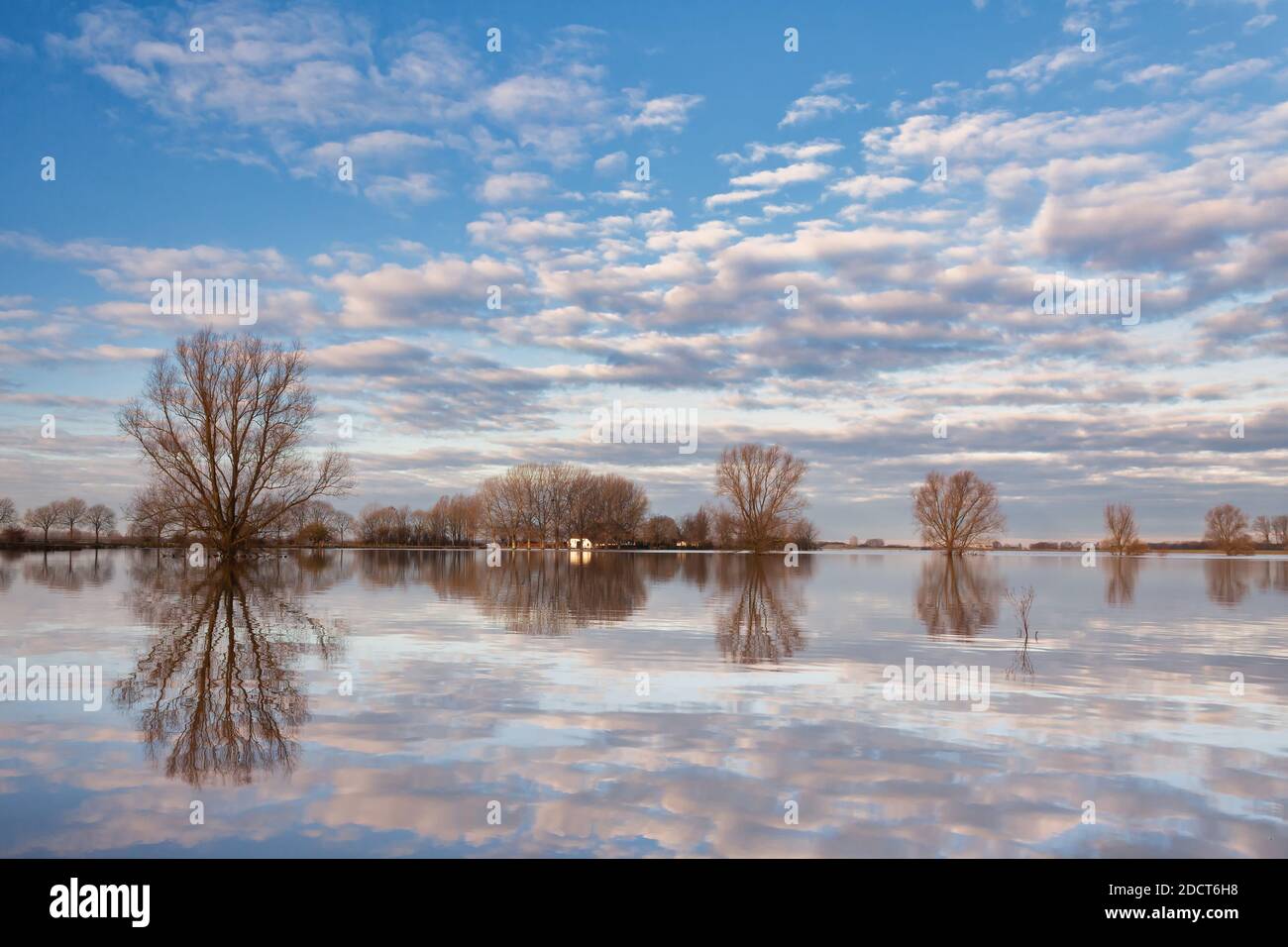 Überschwemmtes Farmfeld vor dem niederländischen Fluss IJssel In der Provinz Gelderland Stockfoto