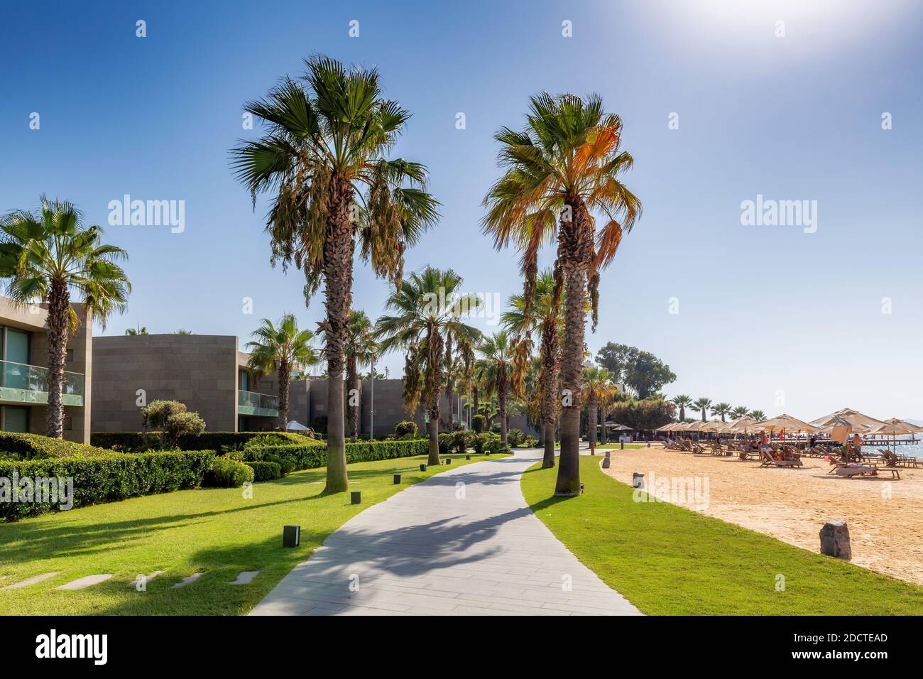 Schöner Strand mit Sonnenschirmen und Palmen in der Ägäis in Turgutreis, Bodrum, Türkei Stockfoto