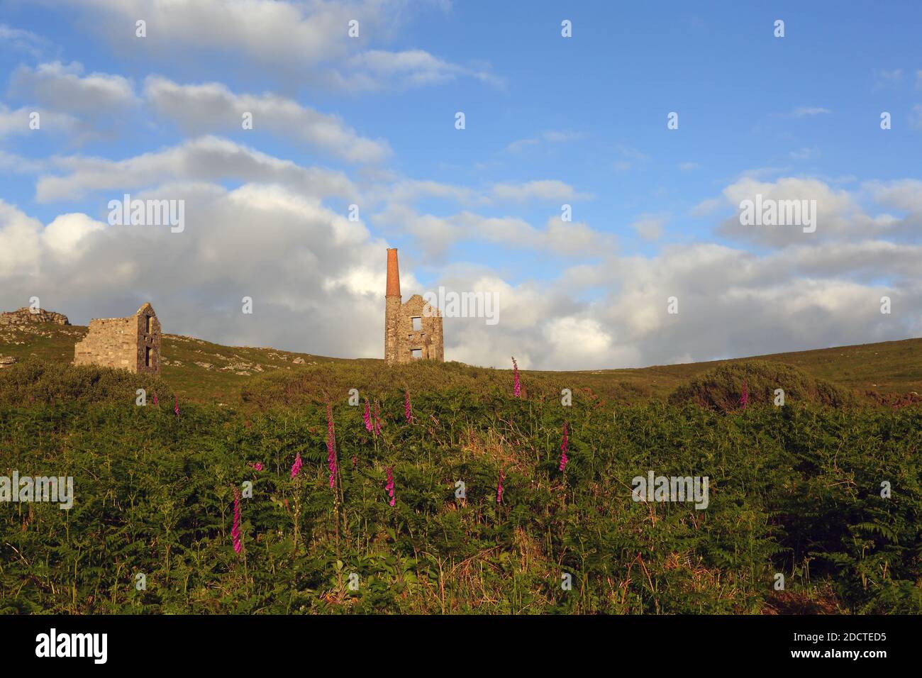 Carn Galver Mine Engine Houses, Penwith Peninsula, Cornwall, Großbritannien Stockfoto