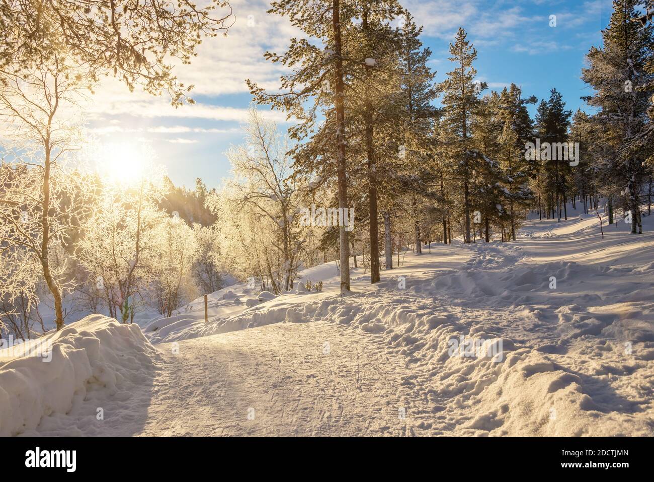 Verschneite Waldlandschaft bei Sonnenuntergang, gefrorene Bäume im Winter in Saariselka, Lappland, Finnland Stockfoto