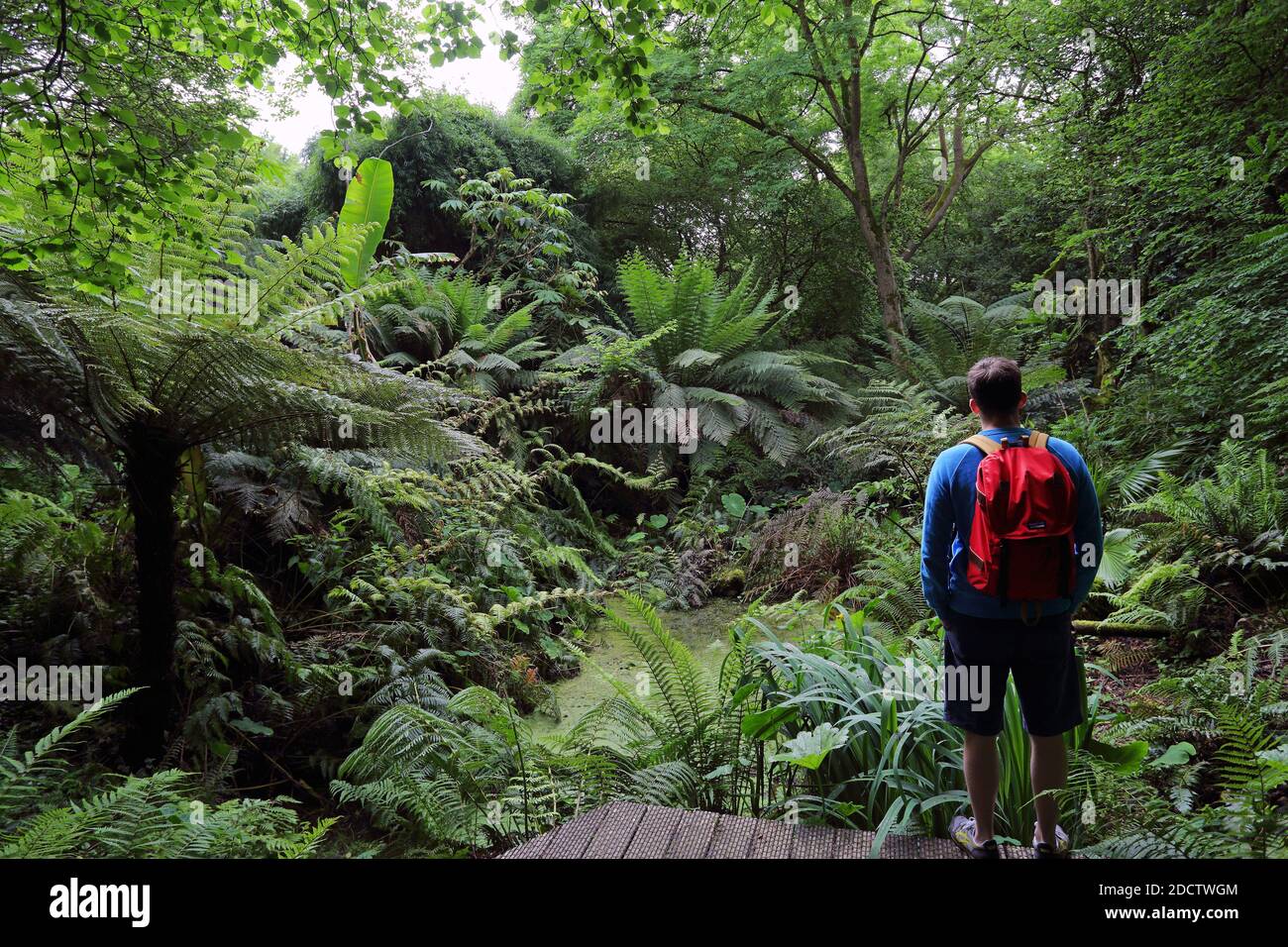 GROSSBRITANNIEN /Cornwall/Penzance/ Mann mit Rucksack Mann mit Rucksack in Tremenheere Gardens, Penzance, Cornwall, Großbritannien Stockfoto