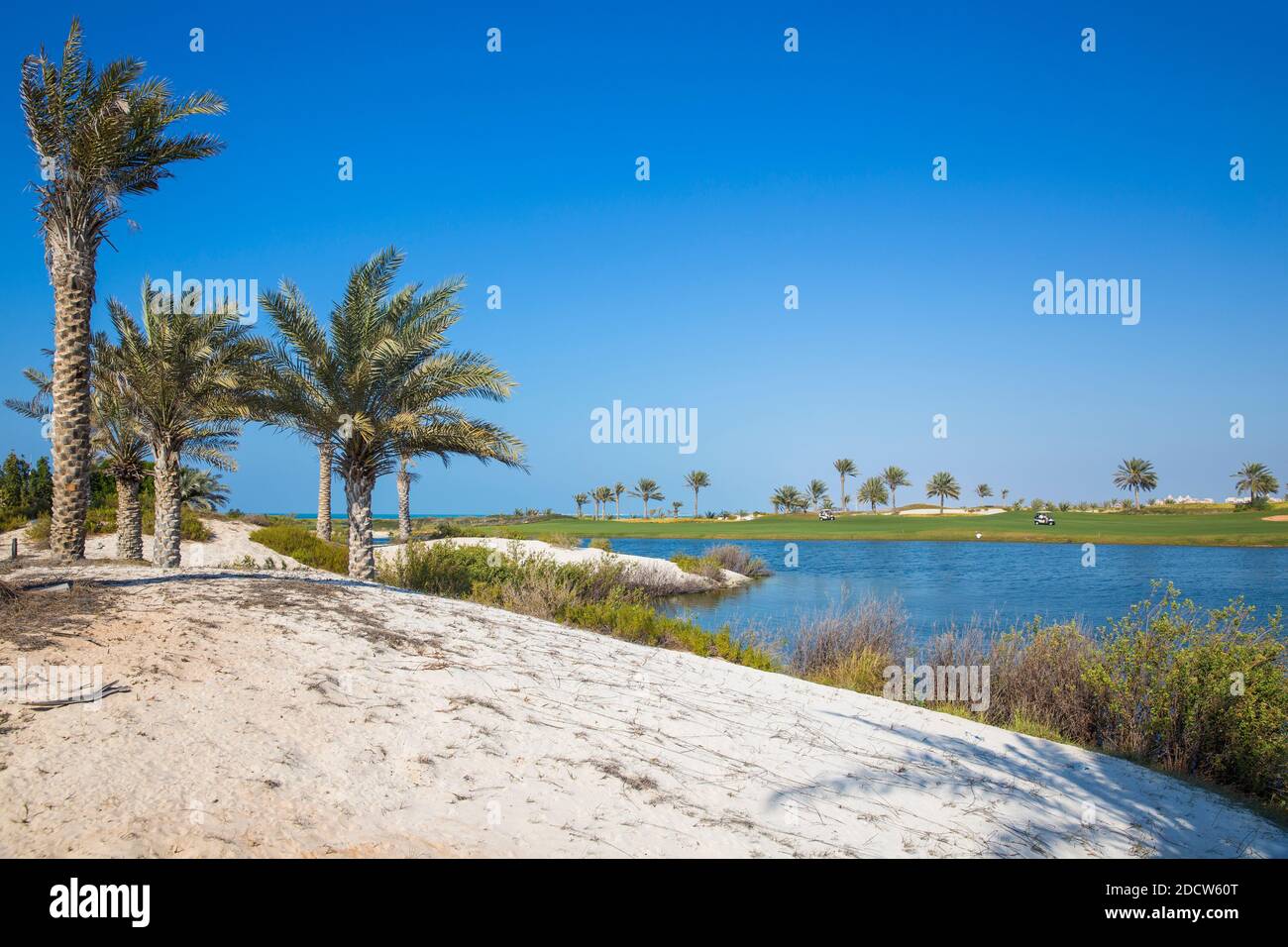 Vereinigte Arabische Emirate, Abu Dhabi, Saadiyat Island, Golfplatz Stockfoto
