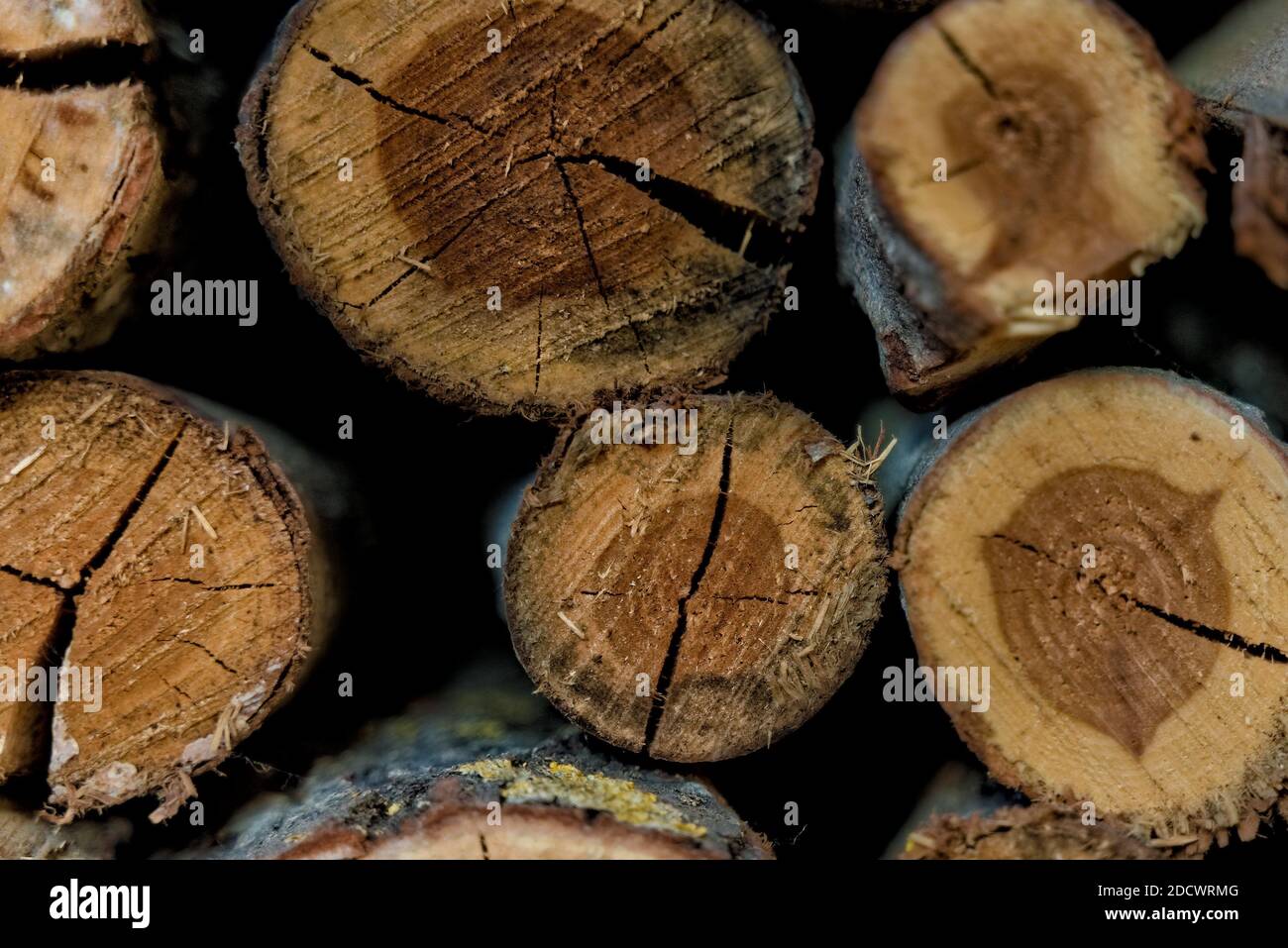 Nahaufnahme von trockenen alten Brennholzstämmen in einem Stapel gestapelt. Stockfoto