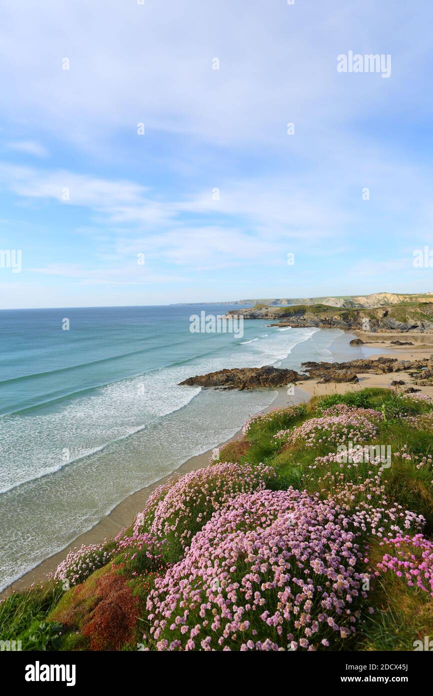 Klippe mit Meer rosa mit Blick auf die Südwestküste Pfad, Watergate Bay. Newquay, Cornwall, England, Großbritannien. Stockfoto