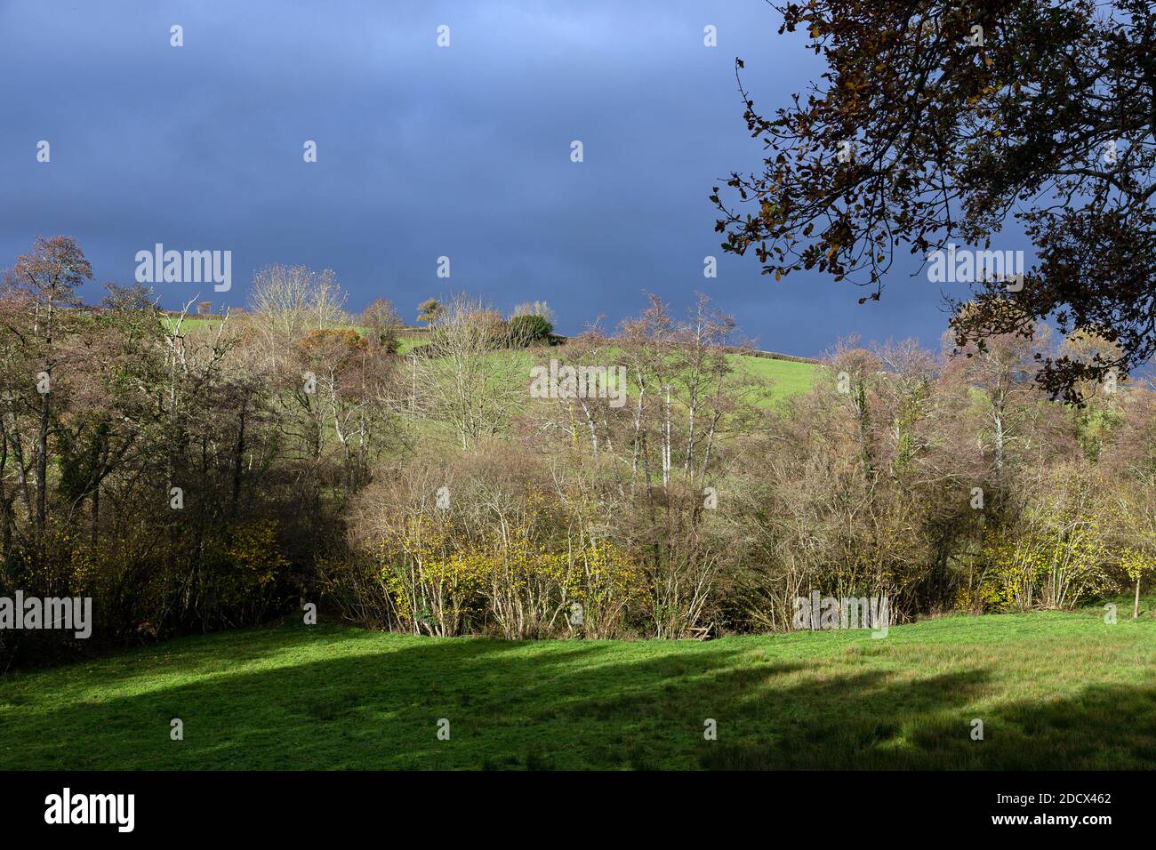 Luftbild, landwirtschaftliches Feld, Österreich, Schönheit, Stadt, Wolke - Himmel, Farbbild, Kopierraum, Kurve, Drohnenblick, Europäische Alpen, Bauernhof, Überschwemmung P Stockfoto