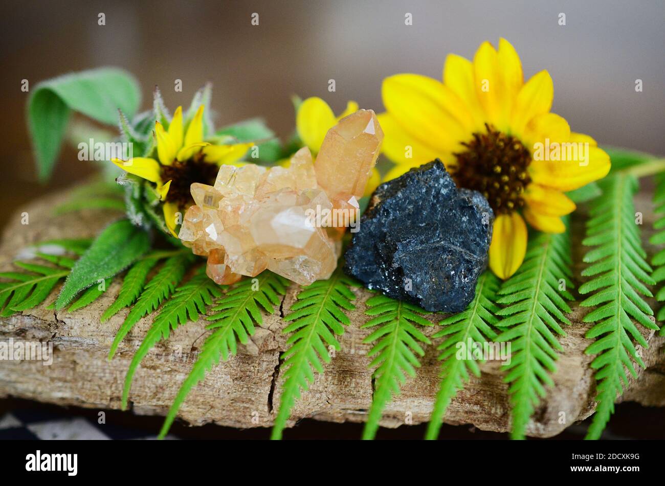 Mandarinquarz & Roh Black Turmalin Combo. Hexen Heilung Kristall gesetzt! Orange, Schwarz raue Kristalle für Anzeige, verändert, oder Meditation. Höher er Stockfoto