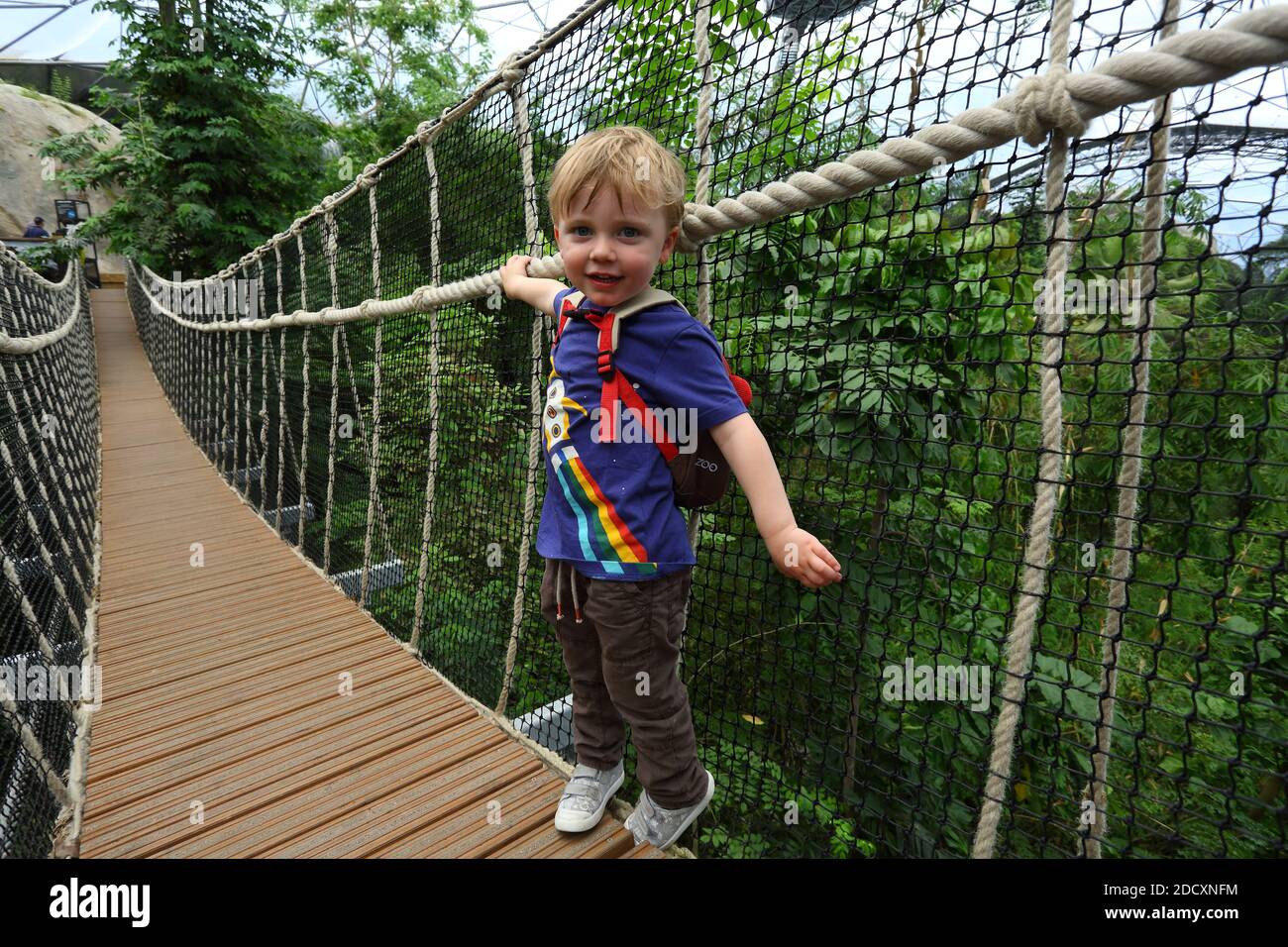 GROSSBRITANNIEN / Cornwall / Junges Kind überquert die wackelige Fußbrücke über das Regenwaldbiom im Eden Project. Stockfoto