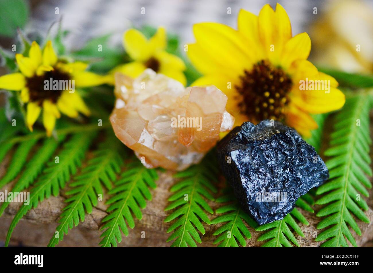 Mandarinquarz & Roh Black Turmalin Combo. Hexen Heilung Kristall gesetzt! Orange, Schwarz raue Kristalle für Anzeige, verändert, oder Meditation. Höher er Stockfoto