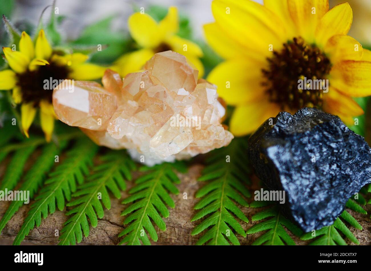 Mandarinquarz & Roh Black Turmalin Combo. Hexen Heilung Kristall gesetzt! Orange, Schwarz raue Kristalle für Anzeige, verändert, oder Meditation. Höher er Stockfoto