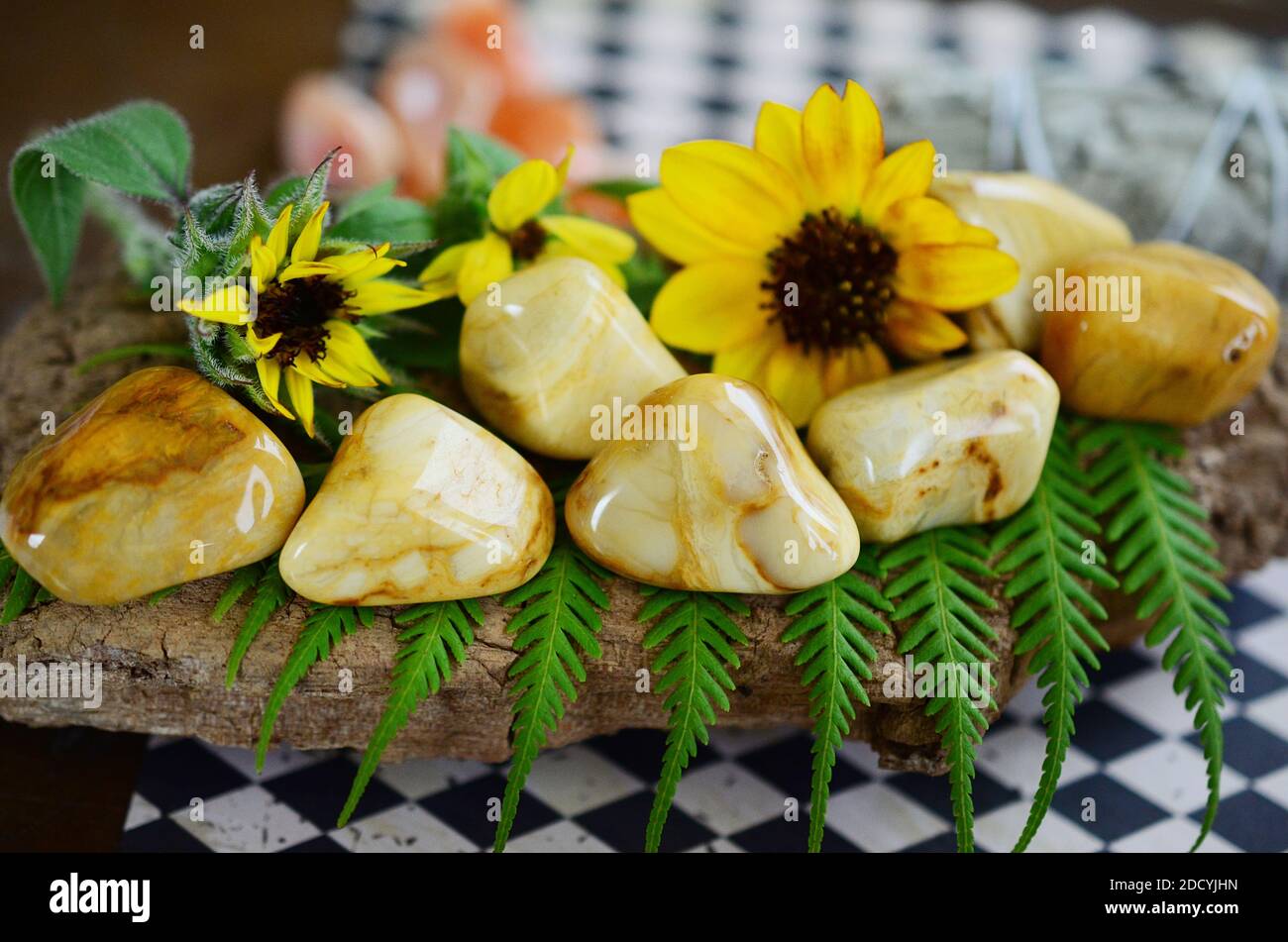 Großer Gelber Jaspis In Tumbled! Cremige, gelbe Strudel. Schöner, verworrter gelber Jaspis, ideal für Entgiftung und Kraft. Hexen heilenden Kristall. Vintage Stockfoto