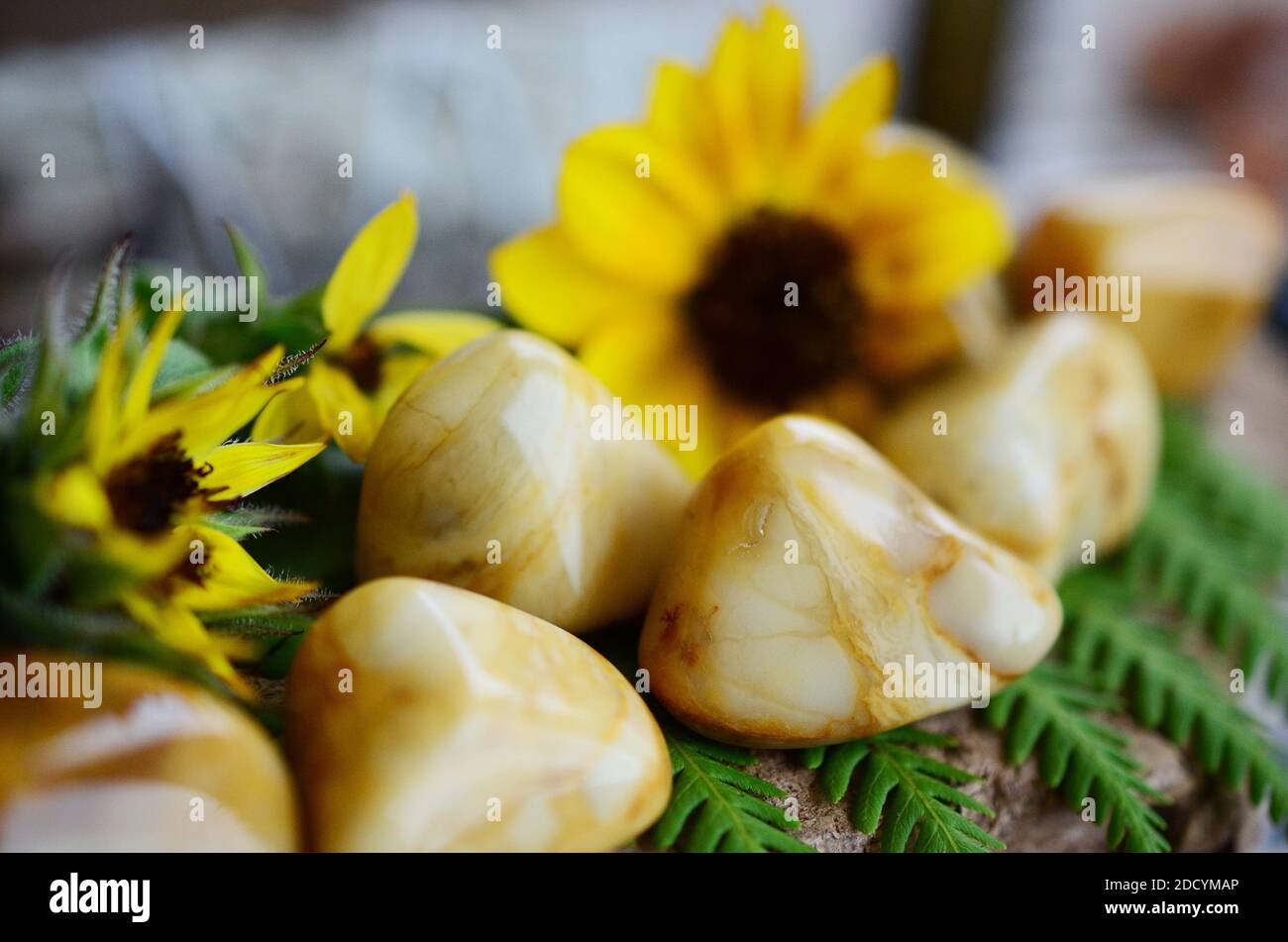 Großer Gelber Jaspis In Tumbled! Cremige, gelbe Strudel. Schöner, verworrter gelber Jaspis, ideal für Entgiftung und Kraft. Hexen heilenden Kristall. Vintage Stockfoto