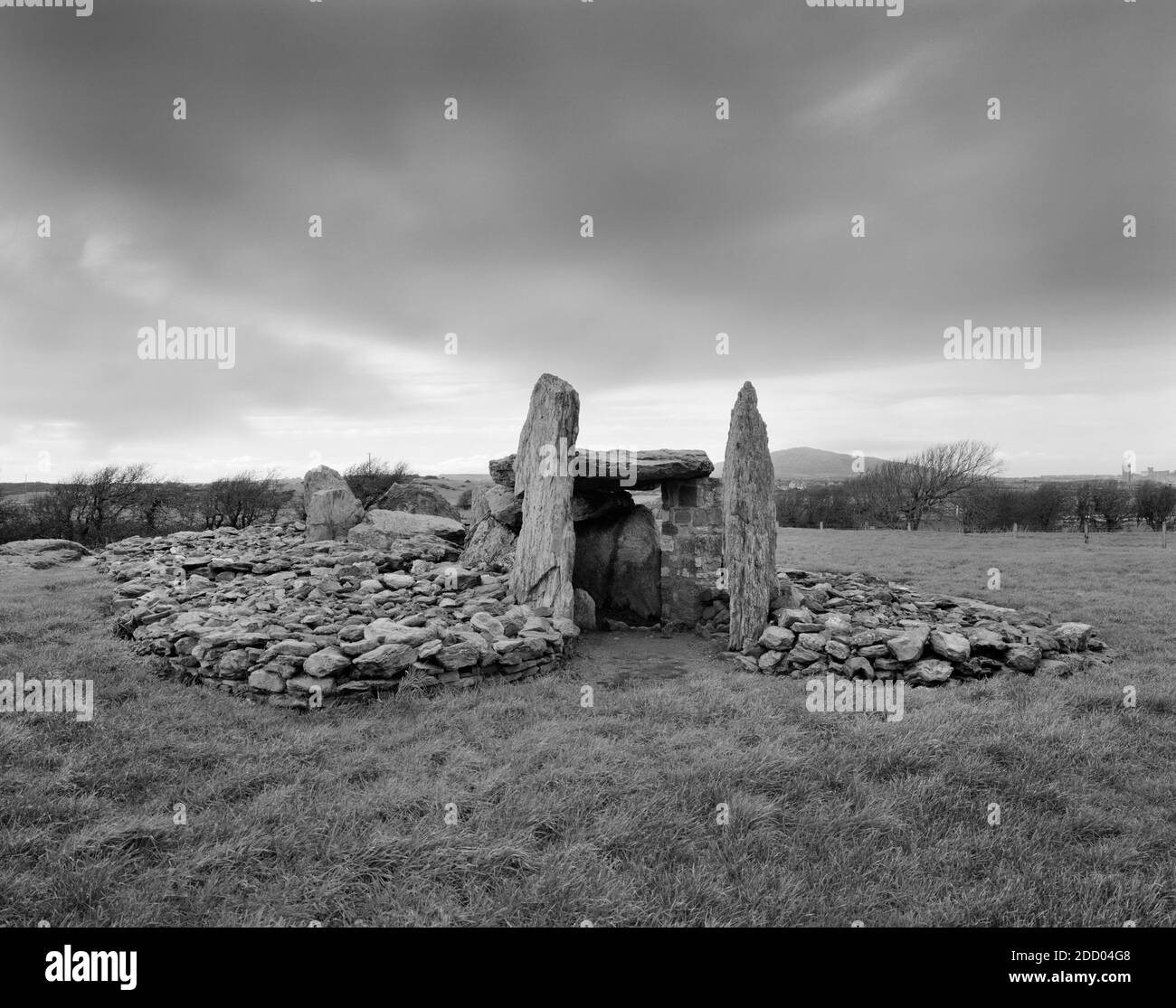 View NW of Trefignath Burial Chamber, Anglesey, Wales, UK, ein neolithisches Grabmal, das seit 1000 Jahren benutzt und modifiziert wird: Eine ausgedehnte lange Kaserne mit 3 Kammern. Stockfoto