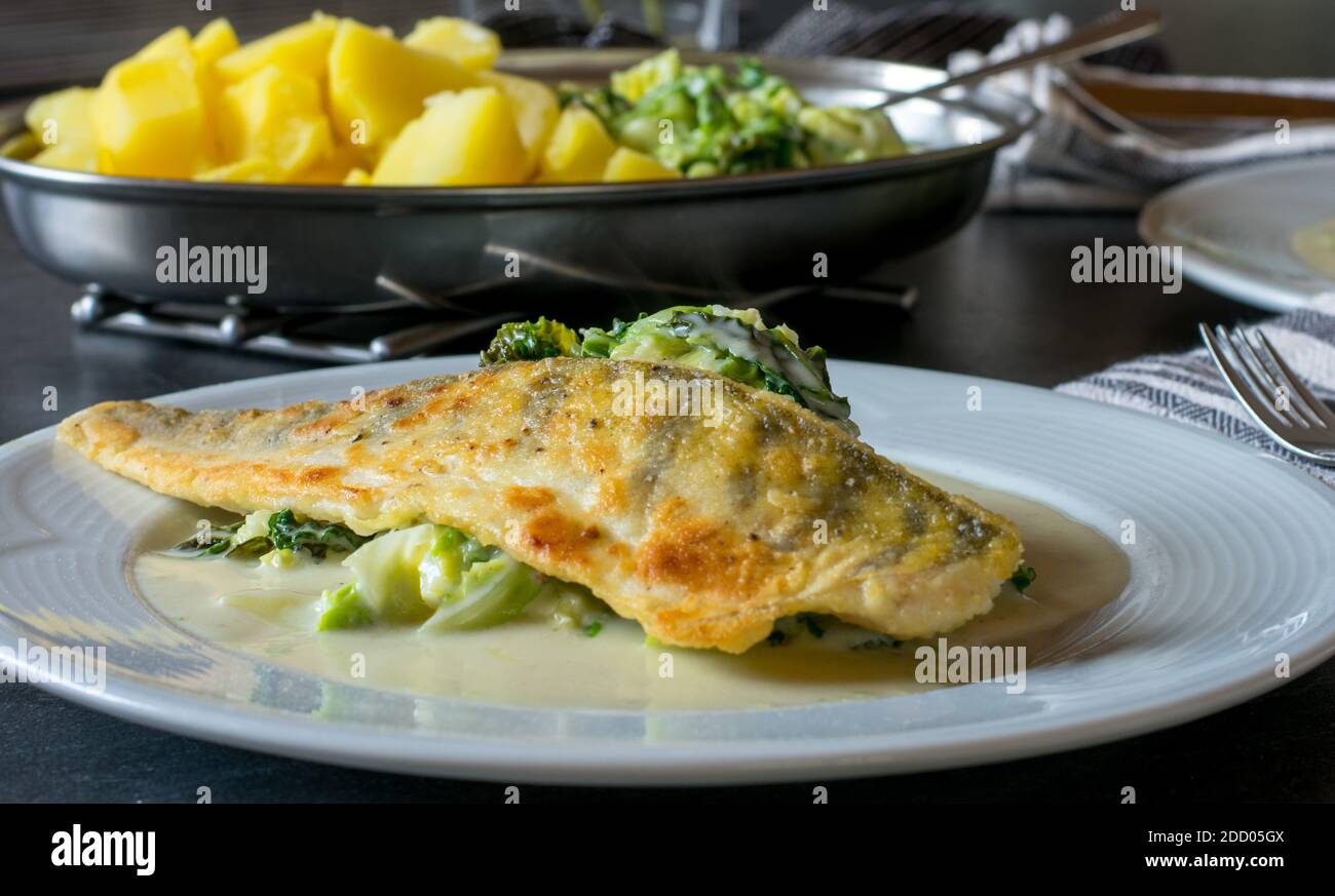 Köstliches Fischgericht mit Hechtbarsch-Filet, savoy-Gemüse, Kartoffeln in einer cremigen Beachamel-Sauce serviert auf einem Küchentisch zu Hause Stockfoto