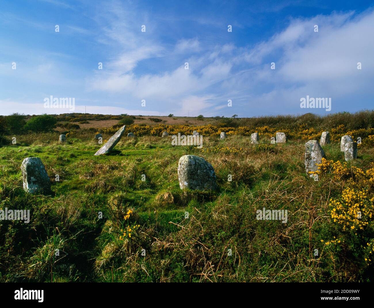 Blick NNW der zentralen & E-Teile von Boscawen-UN Steinkreis, St. Buryan, Cornwall: Ein Oval von 19 regelmäßig auseinander stehenden Steinen mit einem (Eingang?) Lücke auf W Stockfoto