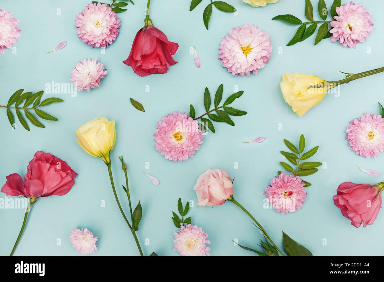 Kreative flache Lay-Komposition mit Blumen, Blättern und Blütenblättern. Stockfoto