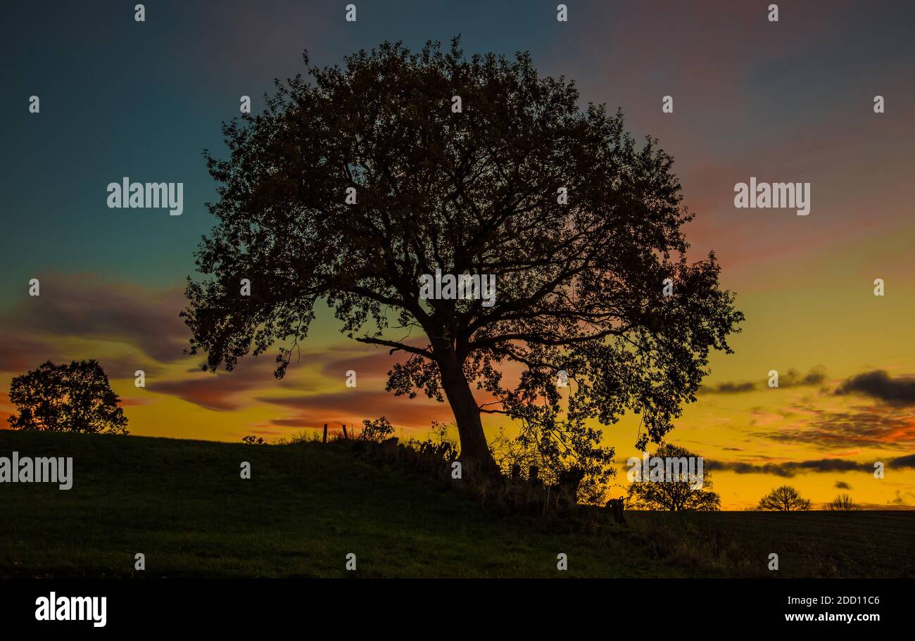 Ein magischer Abend auf dem Land. Der Himmel beeindruckte durch die ausdrucksstarken Farben. Stockfoto Ein magischer Abend auf dem Land. Der Himmel beeindruckte durch die ausdrucksstarken Farben. Stockfoto